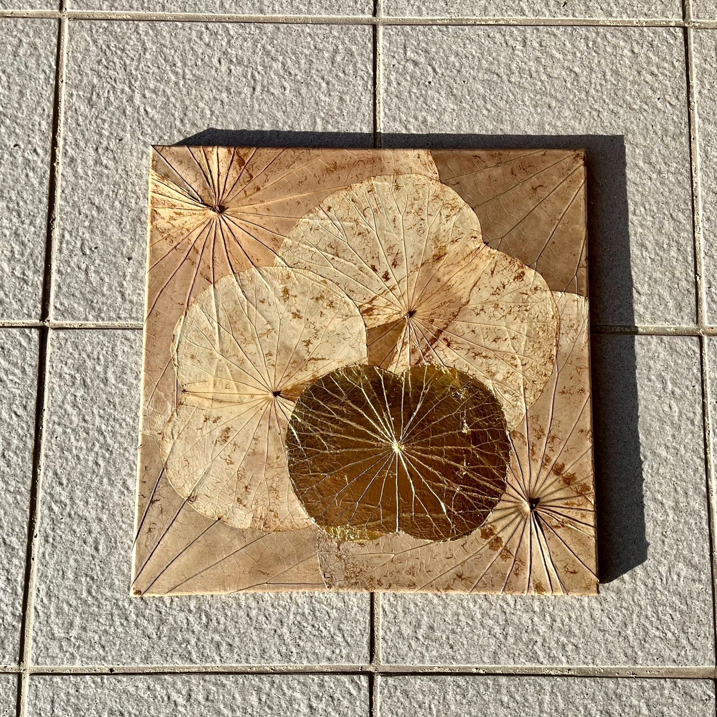 ロータスリーフキャンバス